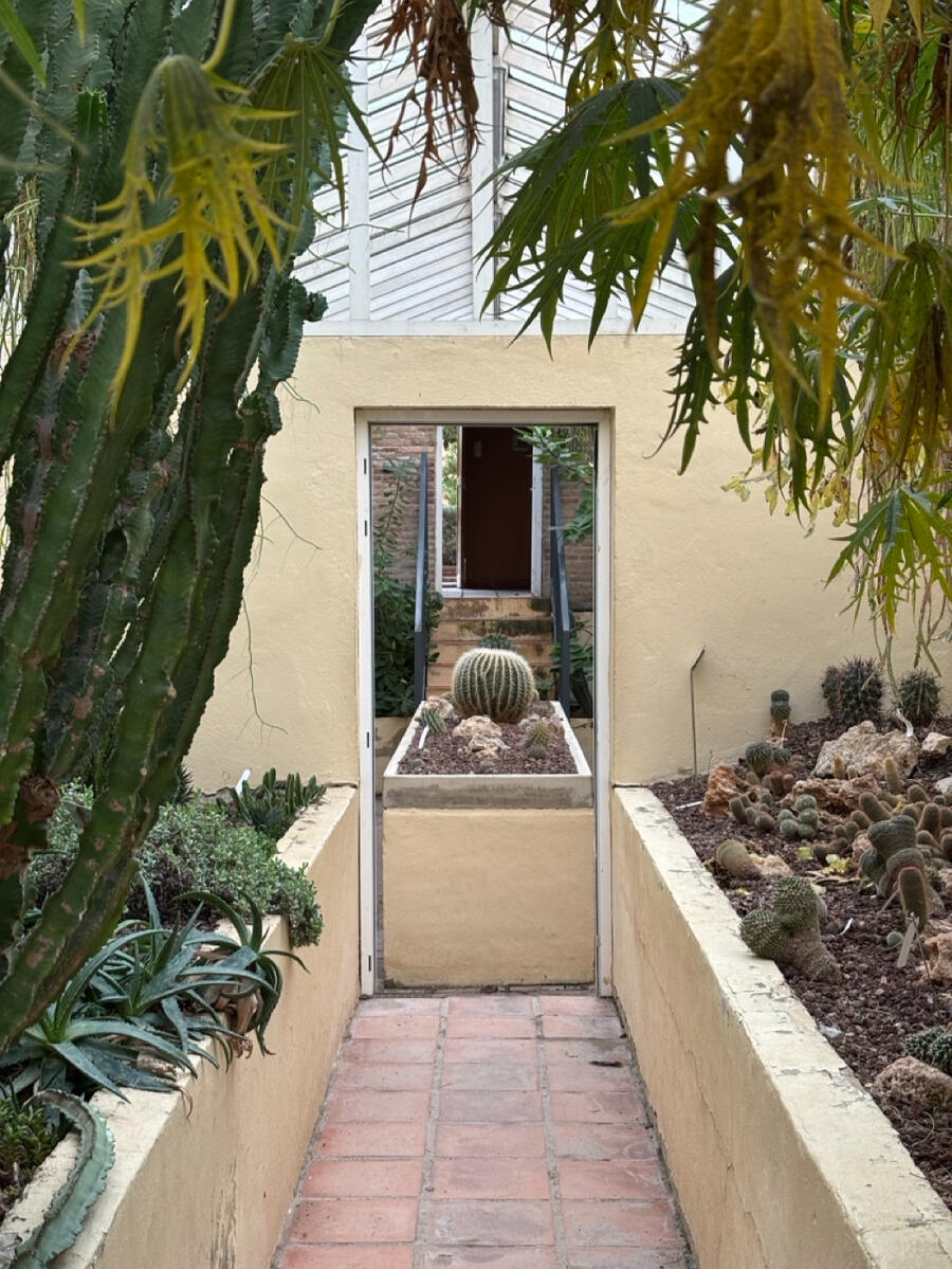 A photo inside a greenhouse for cacti and succulents. A pathway runs through the middle, and the photo looks through an open doorway ahead, with a small, bulbous cactus visible in a planter in the middle.