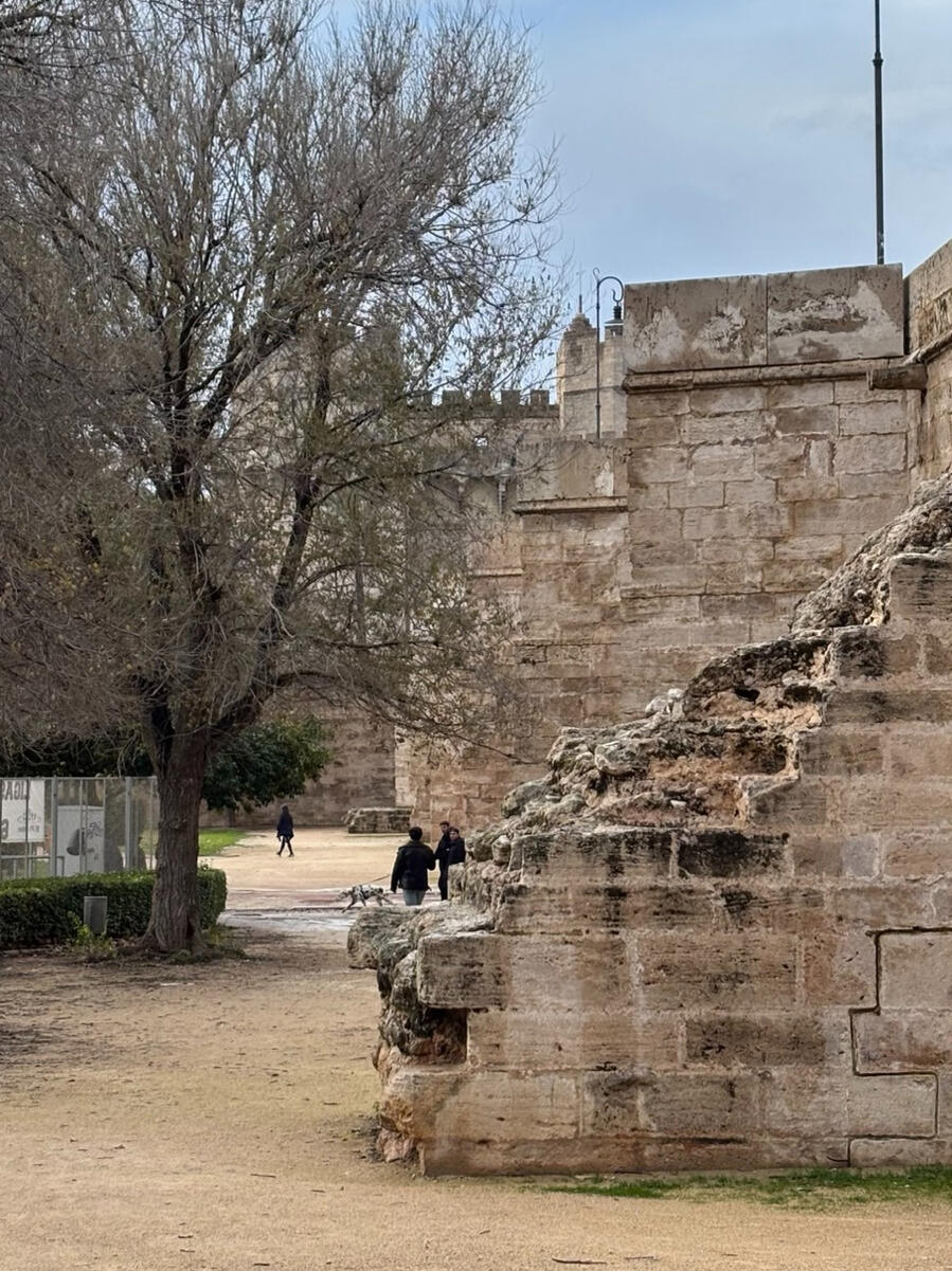 A broken chunk of brick wall is visible in the foreground. In the background there are other walls visible that are old but unbroken. To the left is a tree without leaves.
