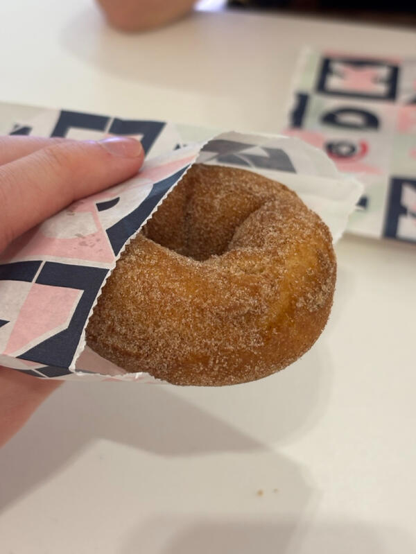 A cinnamon doughnut protruding from a paper bag, being held by a hand.