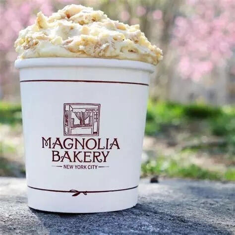 A photo of a white takeaway dessert cup filled with fluffy white-yellow pudding. The label says "Magnolia Bakery - New York City".